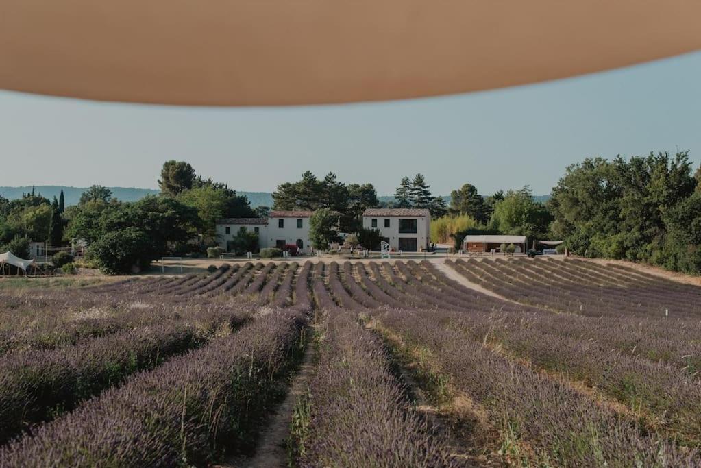Terre Ugo - Studio Campagne Aixoise #6 Aix-en-Provence Exteriör bild