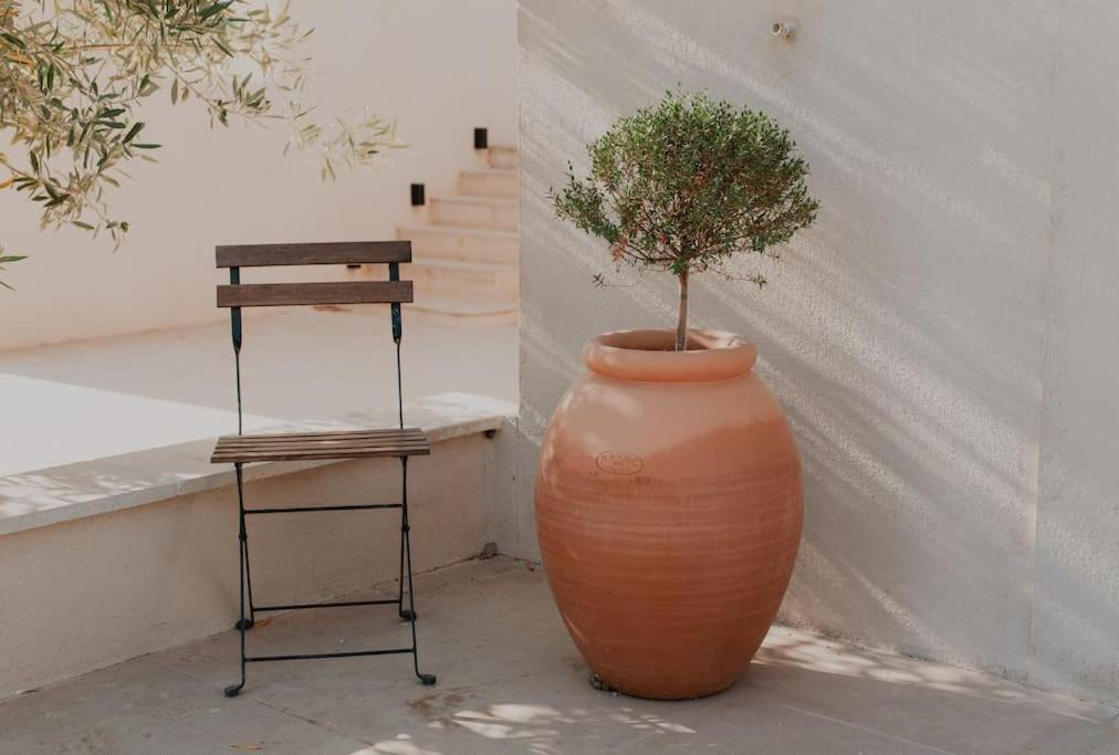 Terre Ugo - Studio Campagne Aixoise #6 Aix-en-Provence Exteriör bild