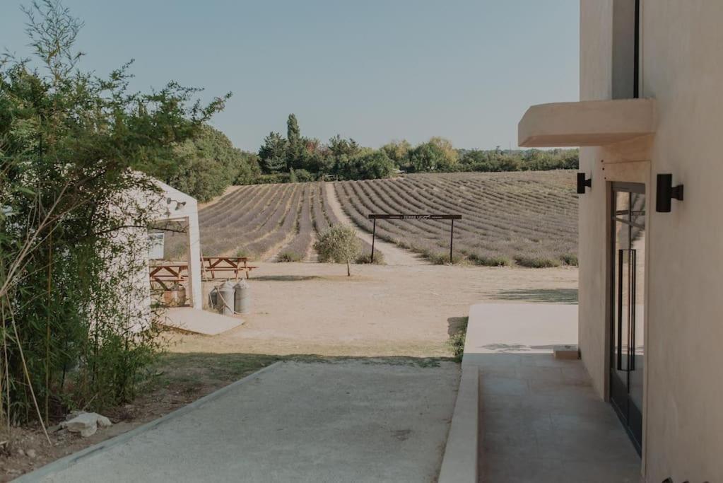 Terre Ugo - Studio Campagne Aixoise #6 Aix-en-Provence Exteriör bild